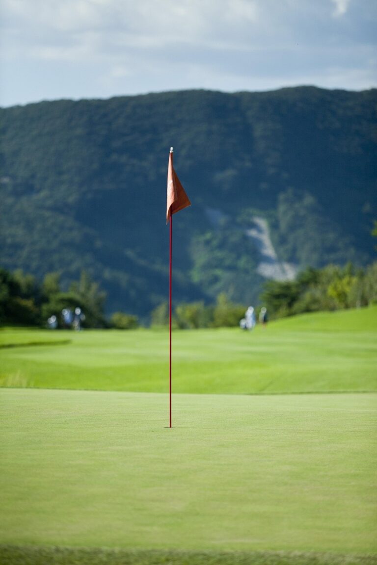 golf, golf tournament, nature, golf course, golf players, grass